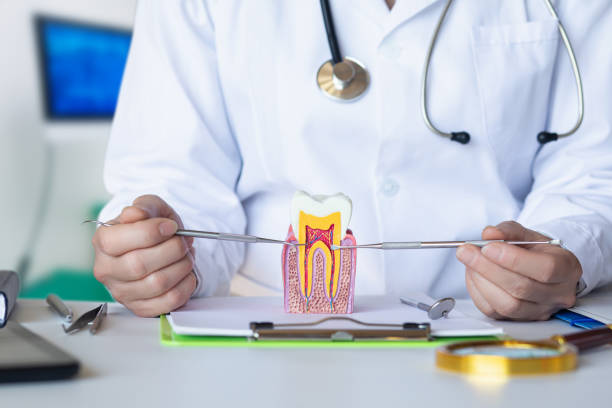 Best Mobile Emergency Dentist in Linden, NJ